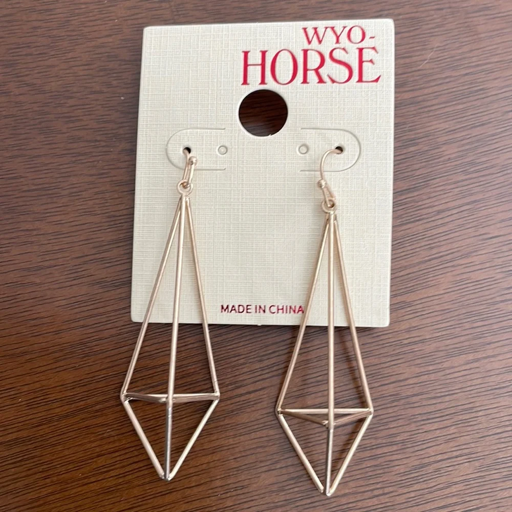 Earrings - Picture 1 of 1